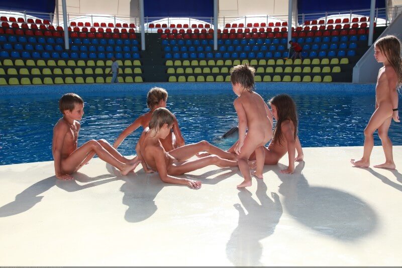Swimming dolphins photo gallery - Stereotypical perceptions of nudists