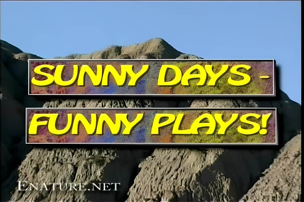Enature - Sunny Days – Funny Plays - A space for those who seek bodily freedom